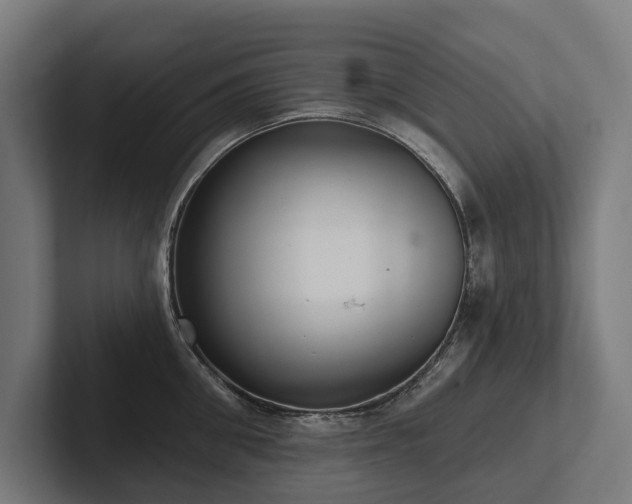 X0000102360906200808011450