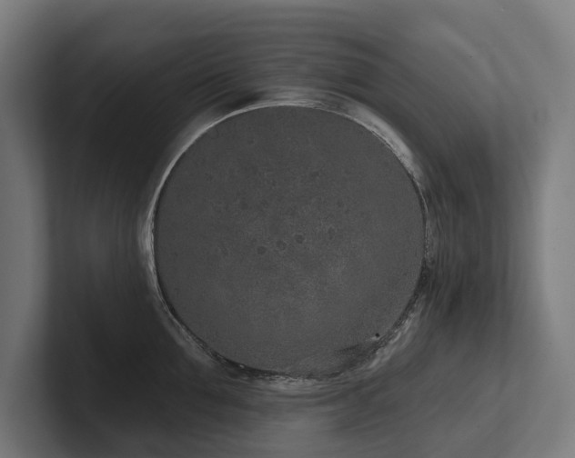 X0000102360907200808011450