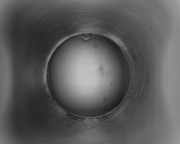 X0000102360912200808011450