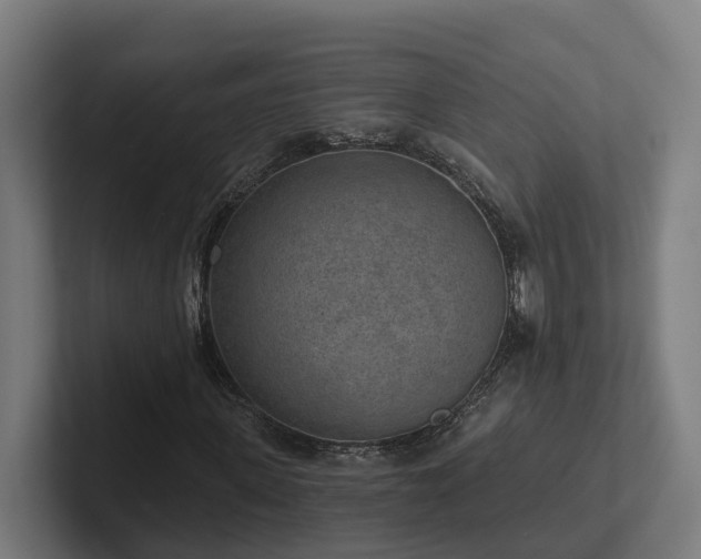 X0000102360915200808011449