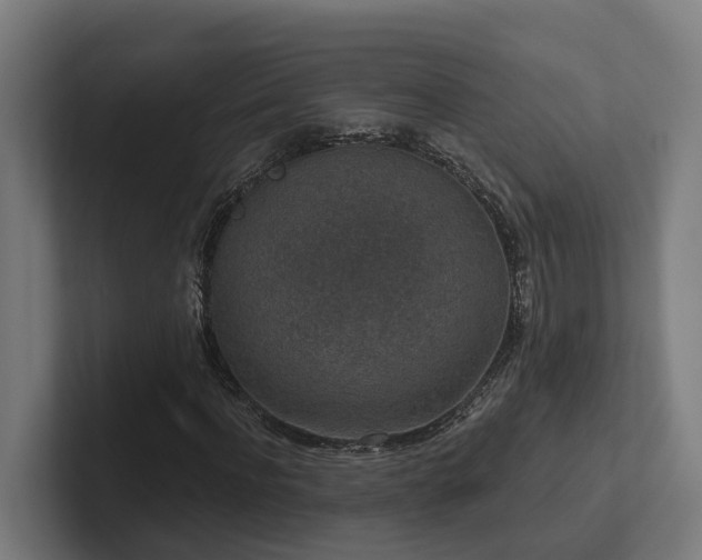X0000102360916200808011449