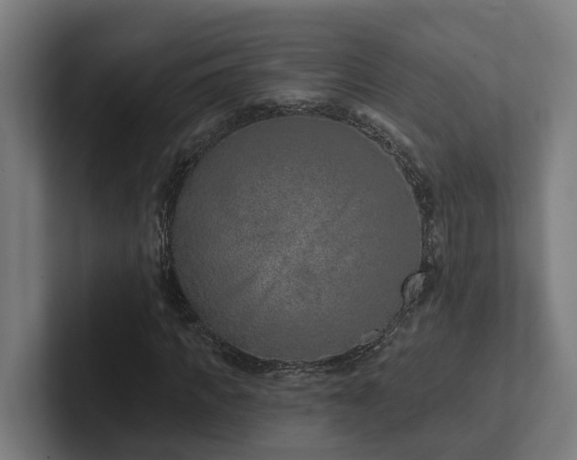 X0000102360917200808011449