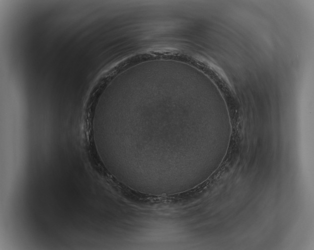 X0000102360920200808011449
