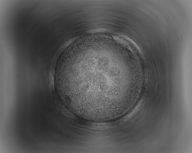 X0000102360921200808011449