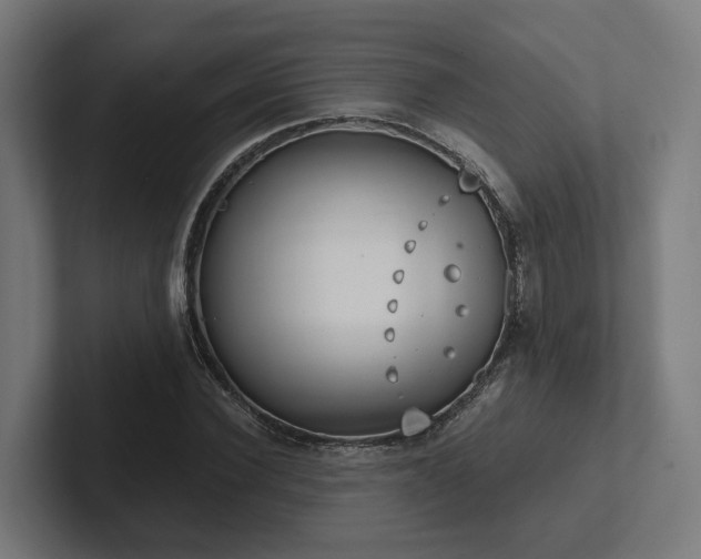 X0000102360924200808011449