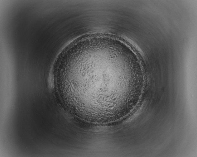 X0000102360925200808011449