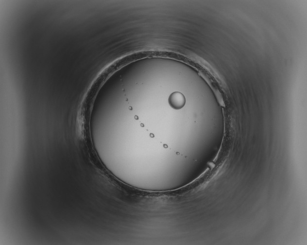 X0000102360926200808011449
