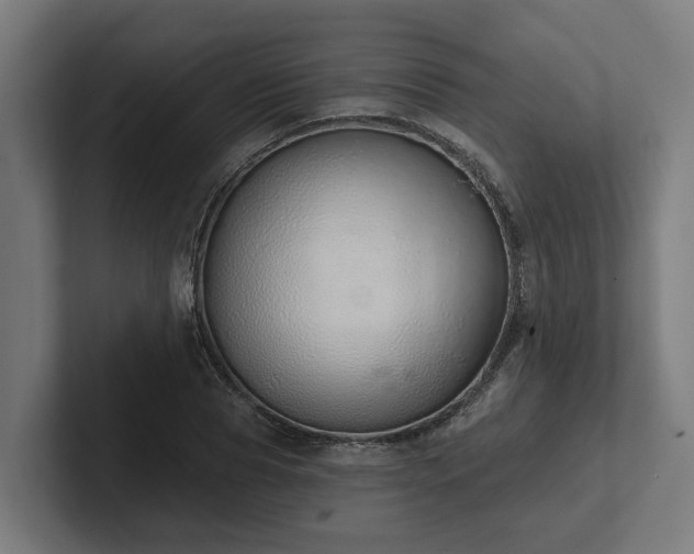 X0000102360929200808011449