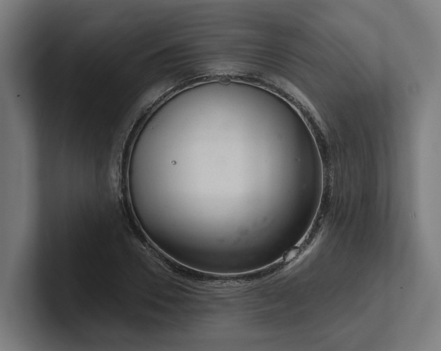 X0000102360930200808011449