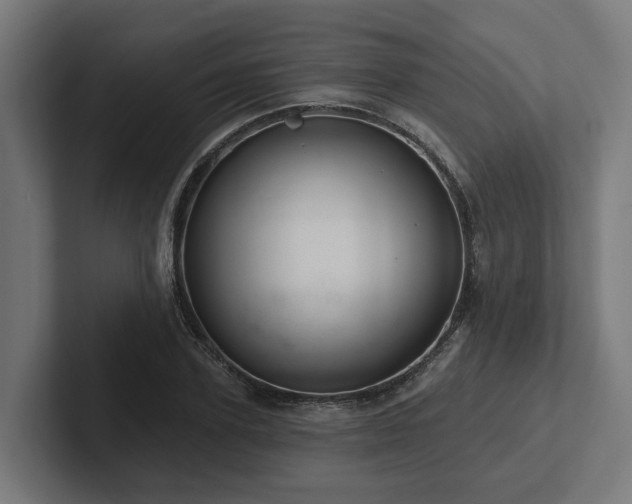 X0000102360931200808011449