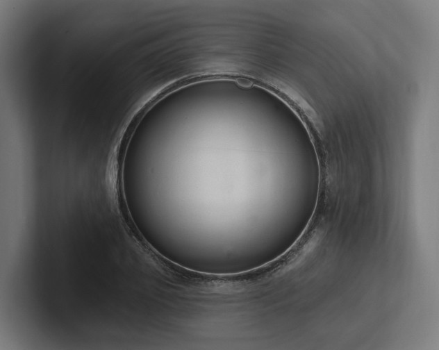 X0000102360933200808011449
