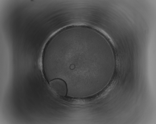 X0000102360935200808011449