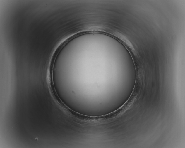 X0000102360936200808011449