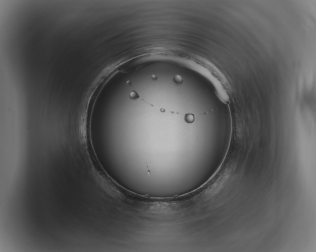 X0000102360938200808011449