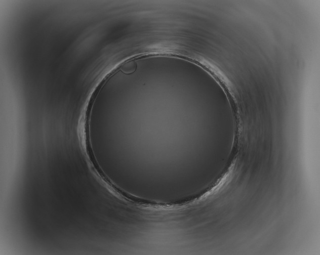 X0000102360941200808011449
