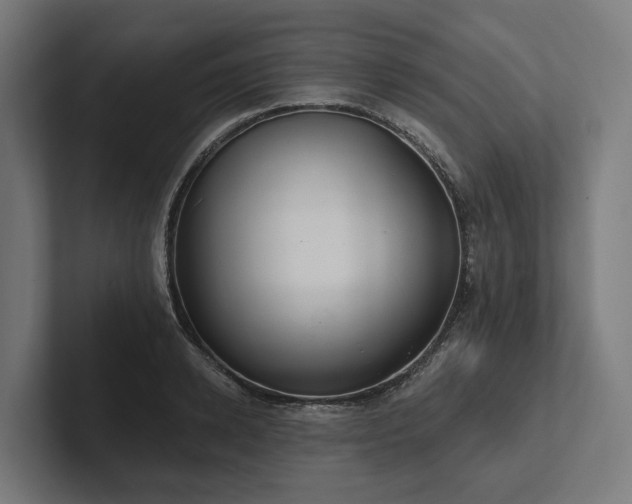 X0000102360942200808011449