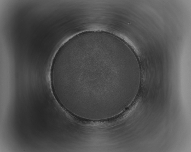 X0000102360943200808011449