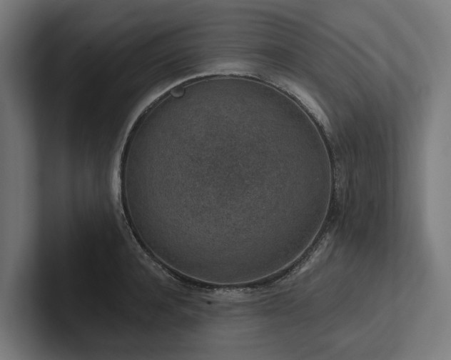 X0000102360944200808011449