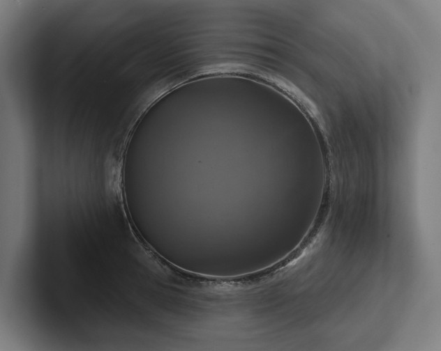 X0000102360945200808011449