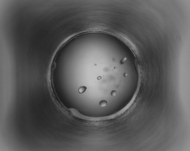 X0000102360948200808011449