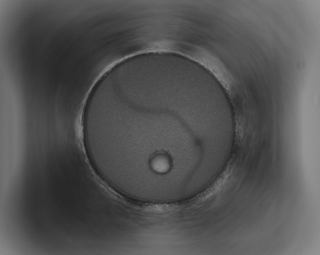 X0000102360950200808011449