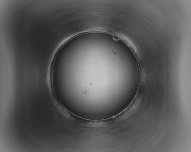 X0000102360952200808011449
