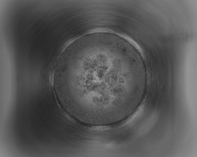 X0000102360953200808011449