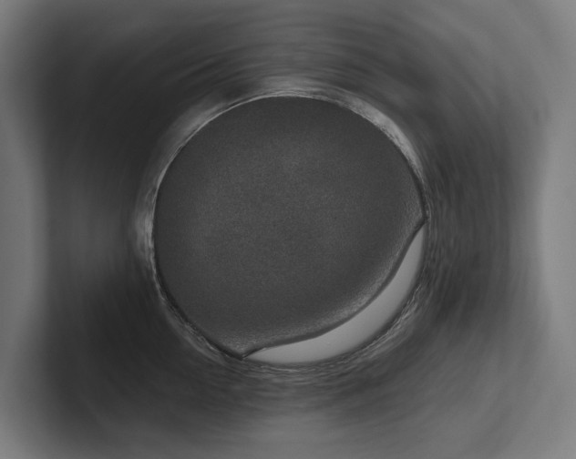 X0000102360954200808011449