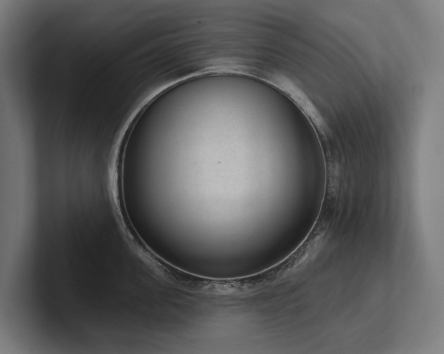 X0000102360955200808011450