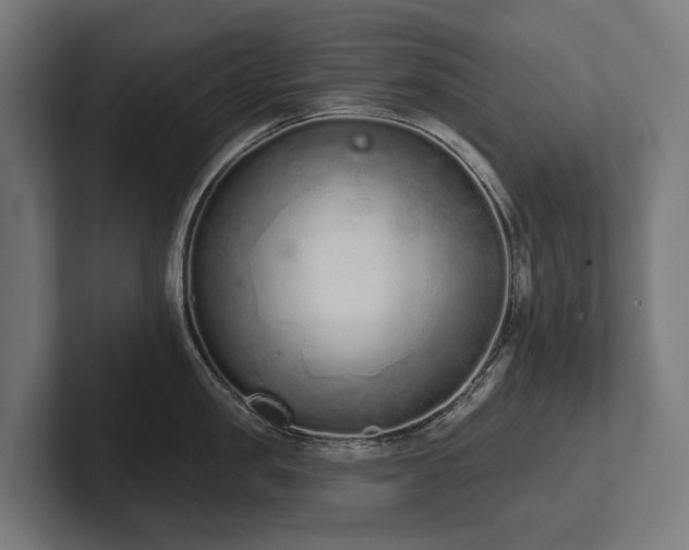 X0000102360957200808011450