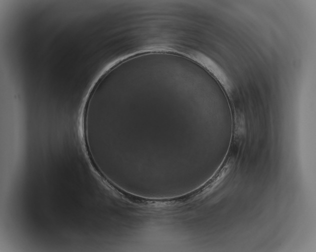 X0000102360958200808011450