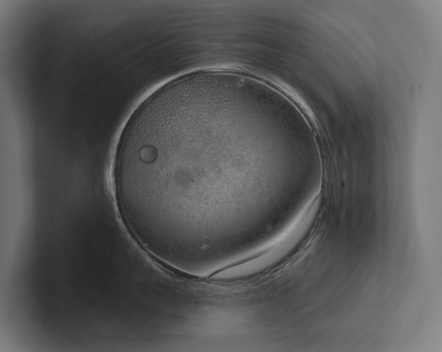 X0000102360959200808011450