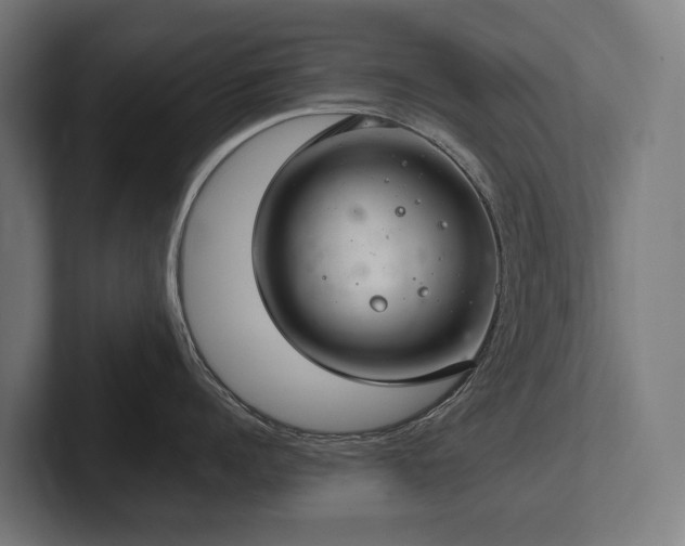 X0000102360960200808011450