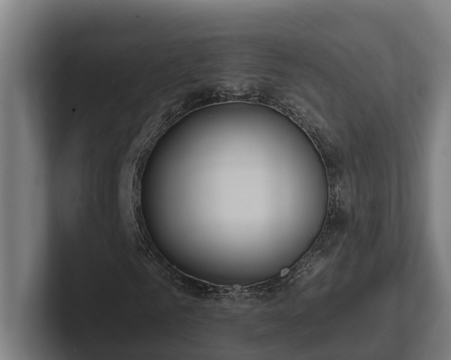 X0000102360961200808011449