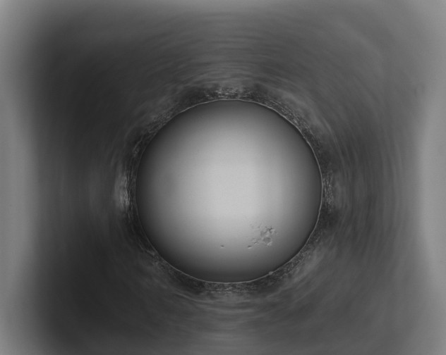 X0000102360962200808011449