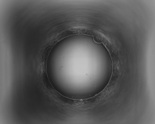 X0000102360965200808011449