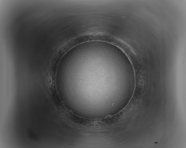 X0000102360966200808011449