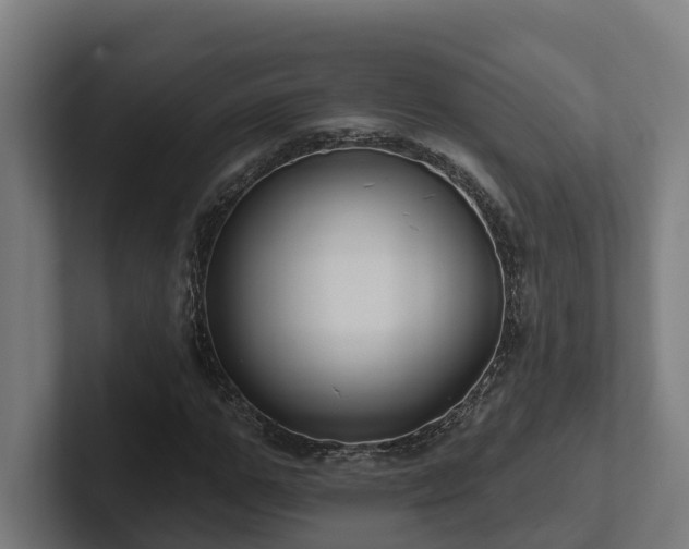X0000102360967200808011449