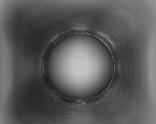 X0000102360968200808011449