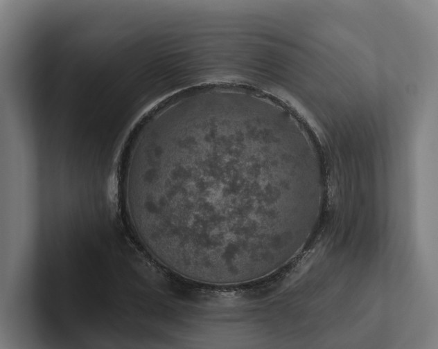 X0000102360975200808011449