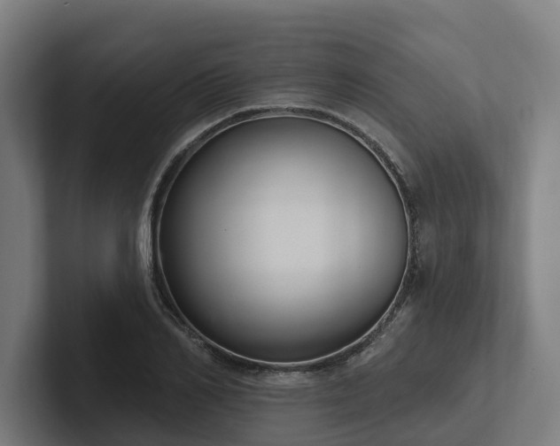 X0000102360982200808011449