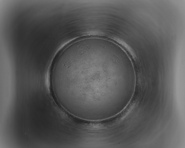 X0000102360983200808011449