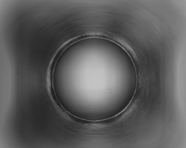 X0000102360984200808011449