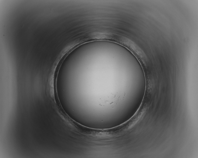 X0000102360986200808011449