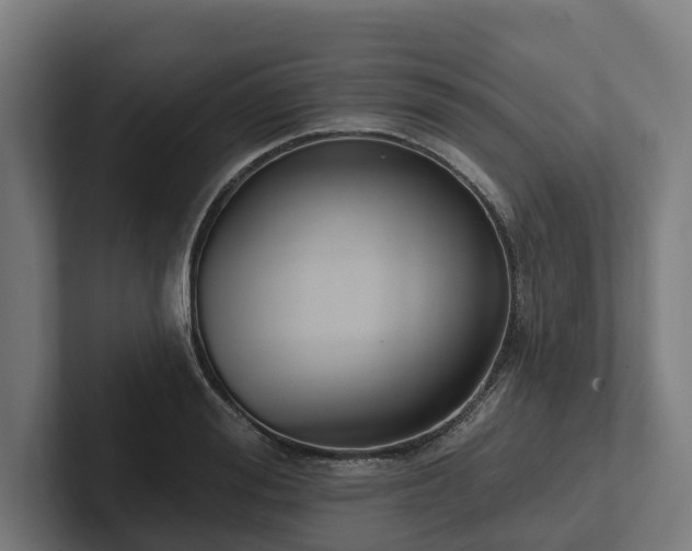 X0000102360988200808011449