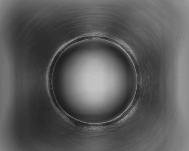 X0000102360989200808011449