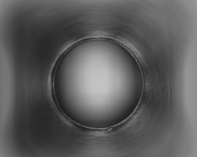 X0000102360990200808011449