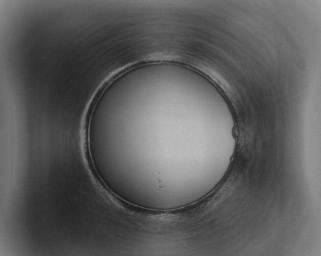X0000102360992200808011449