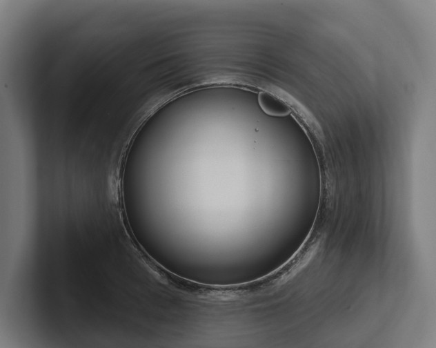 X0000102360993200808011449