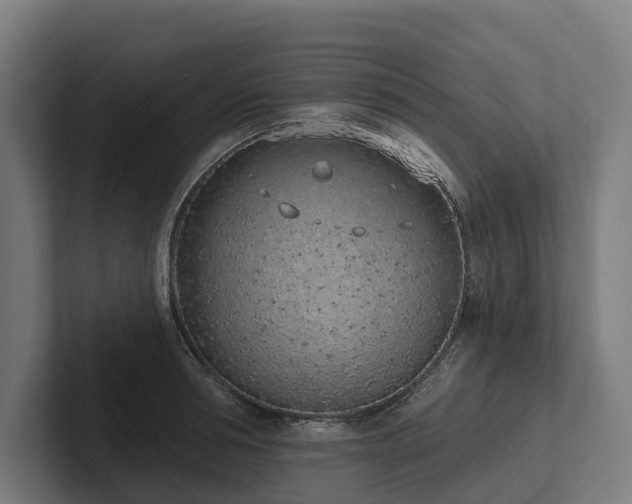 X0000102360994200808011449